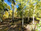 11457 Marigold Ln - Photo 4