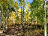 11457 Marigold Ln - Photo 5