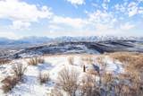 7688 Forest Creek Rd - Photo 22