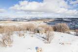 7688 Forest Creek Rd - Photo 24
