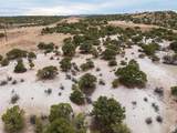 14183 High Mesa Loop - Photo 23