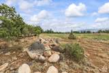 169 370 - Photo 7