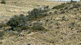 36 Kent Canyon Rd - Photo 10
