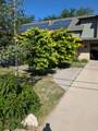 1515 Gentile St - Photo 48