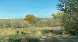 3181 4000 - Photo 39