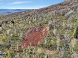 10215 Basin Canyon Rd - Photo 5