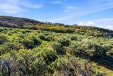 2562 Canyon Gate Rd - Photo 24