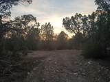 50178 Blackhawk Mountain Ests - Photo 7