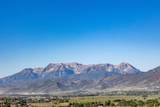 1289 Wildflower Cir - Photo 11
