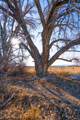 276 3000 - Photo 20
