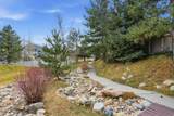 11341 Silver Buckle Way - Photo 28