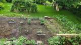 2550 Peach St - Photo 47