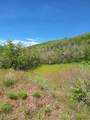 4810 Badger Hollow Ln - Photo 2