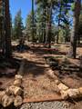 3120 Henry Rd - Photo 9