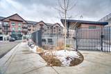 2303 Deer Hollow Rd - Photo 40