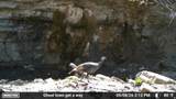 7500 Spring Canyon Rd - Photo 43
