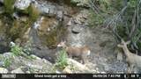 7500 Spring Canyon Rd - Photo 44