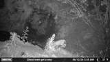7500 Spring Canyon Rd - Photo 45