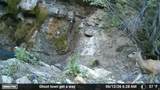 7500 Spring Canyon Rd - Photo 46