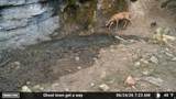 7500 Spring Canyon Rd - Photo 47