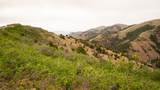7500 Spring Canyon Rd - Photo 49