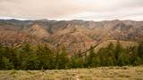 7500 Spring Canyon Rd - Photo 50