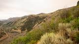 7500 Spring Canyon Rd - Photo 56