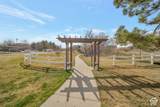 1476 Brunello Dr - Photo 19