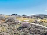 1155 Lasso Trl - Photo 13