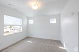 3763 Dalbergia Dr - Photo 10
