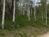 2604 Forest Meadow Rd - Photo 2