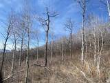 2604 Forest Meadow Rd - Photo 11