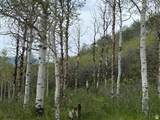 2604 Forest Meadow Rd - Photo 7