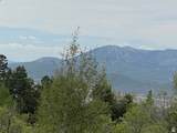 2604 Forest Meadow Rd - Photo 8