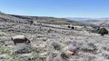 15 Phase 3 Maple Creek Ranchessub - Photo 4