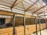 748 Sierra View Dr - Photo 13