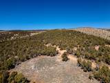 8094 Red Cloud Loop - Photo 23