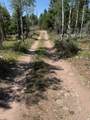 5559 Forest Dr - Photo 9
