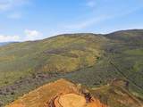 1175 Big Sky Trl - Photo 5