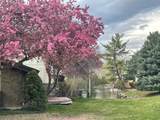 4783 Pintail Ct - Photo 20