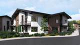 846 Schonerberg Loop - Photo 1