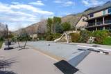 9503 Timpanogos Cv - Photo 66