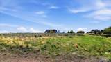 100 Lotus Dr - Photo 2