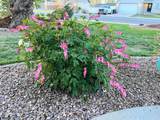 78 1875 - Photo 52