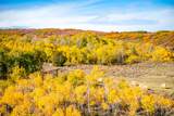 7421 Victory  Ranch Dr - Photo 49