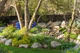 10280 Dimple Dell Rd - Photo 67