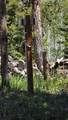 1239 Deer Ln - Photo 11