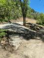 53 Birch Creek Dr - Photo 1