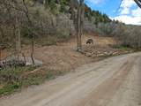 53 Birch Creek Dr - Photo 4