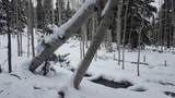 28 Fawn Rd - Photo 5